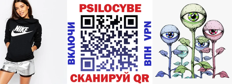 OMG   Талдом  Псилоцибиновые грибы мицелий  где можно купить наркотик 